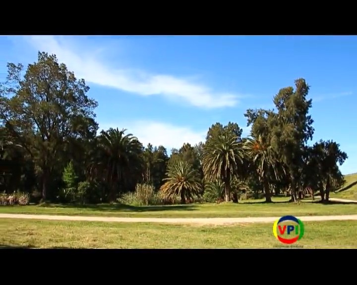 Programa 6 - 24/10/2014